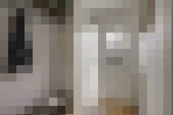 Tilanusstraat 17 Naaldwijk thumbnail 16