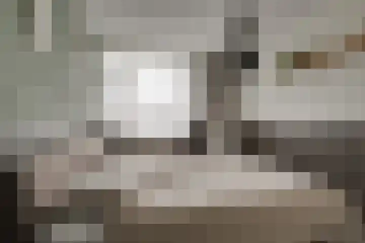 Tilanusstraat 17 Naaldwijk thumbnail 20