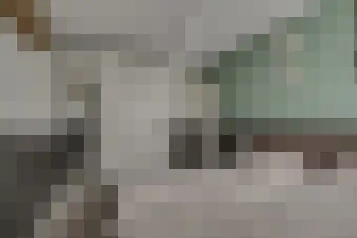 Tilanusstraat 17 Naaldwijk thumbnail 22