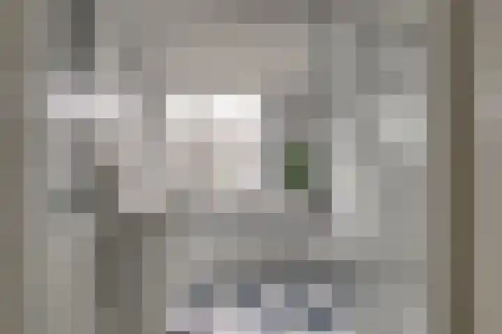 Tilanusstraat 17 Naaldwijk thumbnail 25