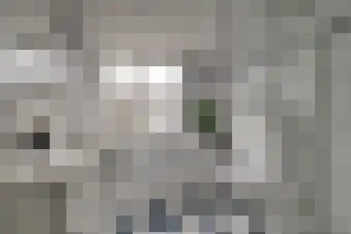 Tilanusstraat 17 Naaldwijk thumbnail 26