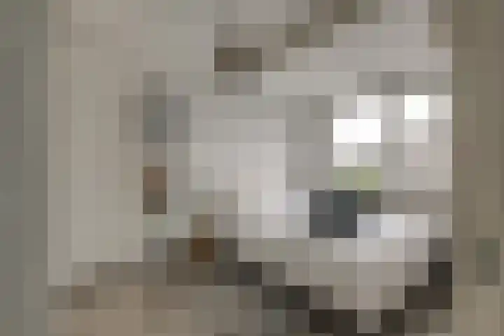 Tilanusstraat 17 Naaldwijk thumbnail 28