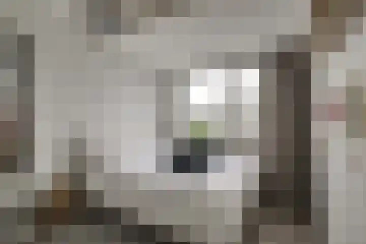 Tilanusstraat 17 Naaldwijk thumbnail 29