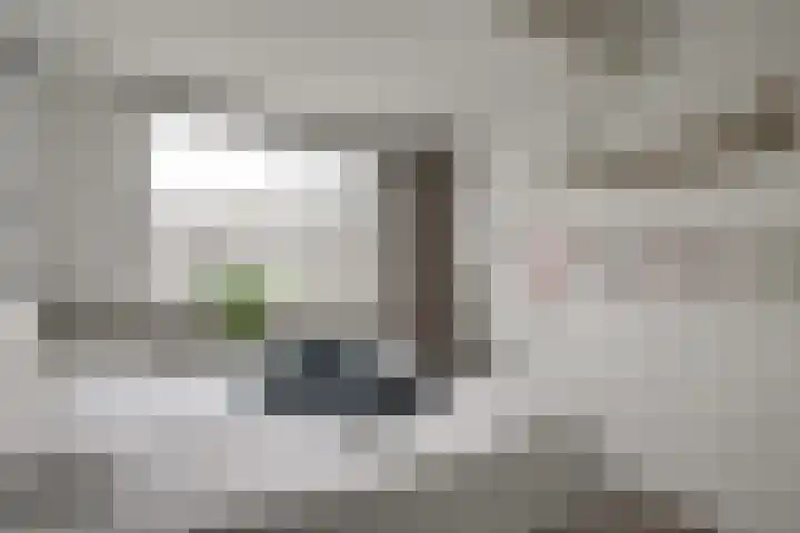 Tilanusstraat 17 Naaldwijk thumbnail 30