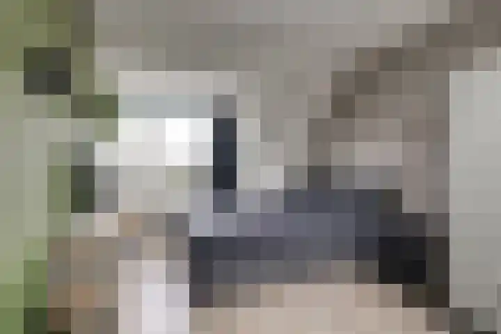 Tilanusstraat 17 Naaldwijk thumbnail 34