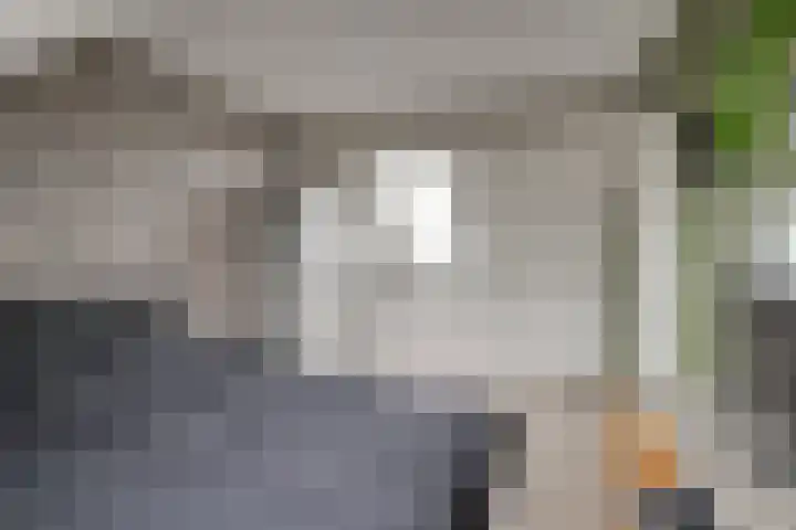 Tilanusstraat 17 Naaldwijk thumbnail 35