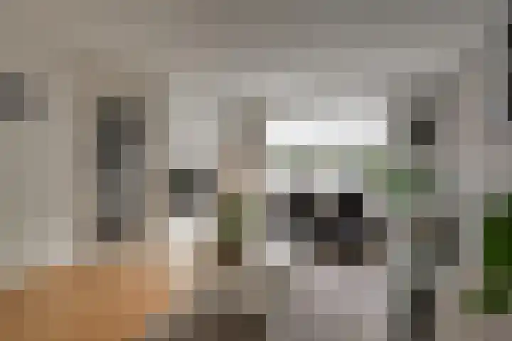 Tilanusstraat 17 Naaldwijk thumbnail 4