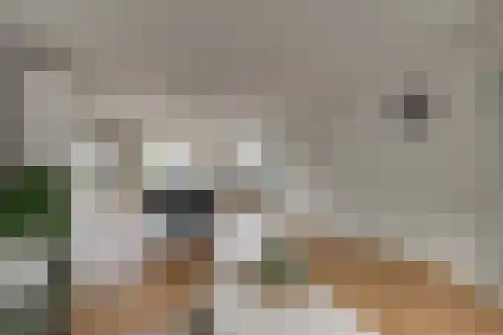 Tilanusstraat 17 Naaldwijk thumbnail 6
