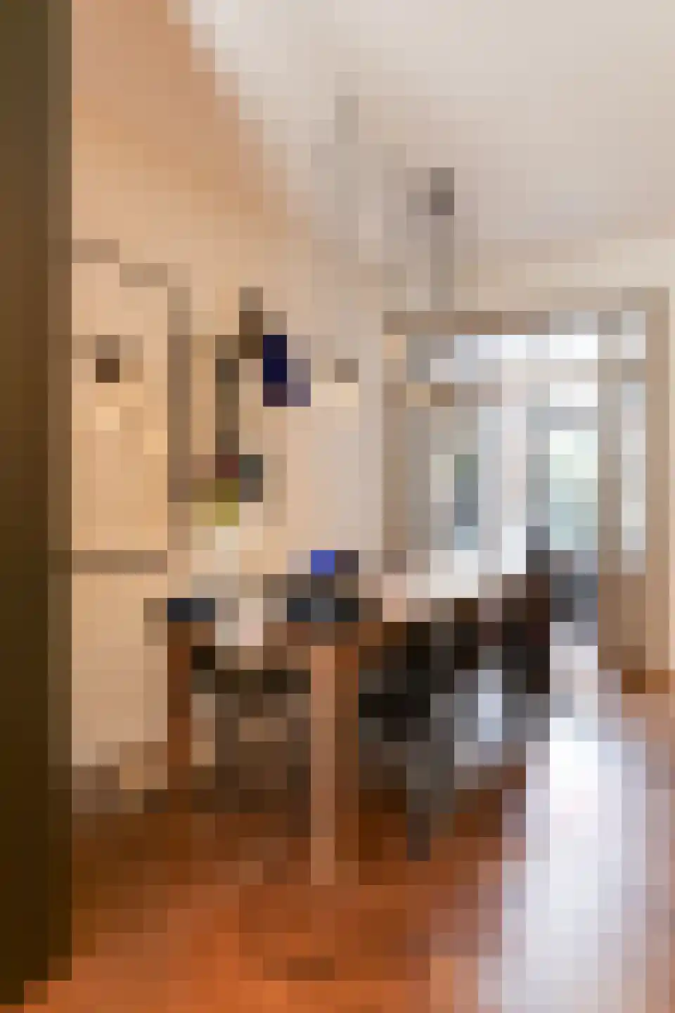 Tilanusstraat 29 1 Amsterdam thumbnail 11