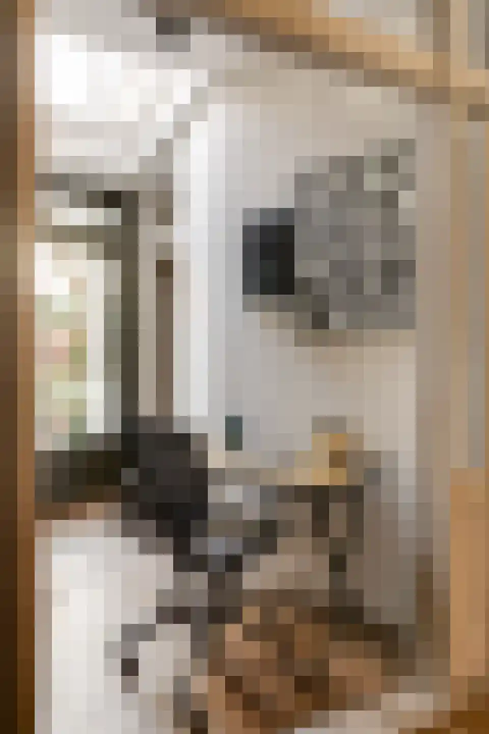 Tilanusstraat 29 1 Amsterdam thumbnail 23