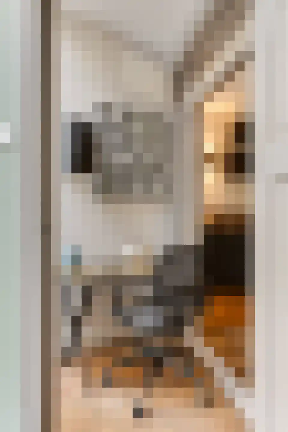 Tilanusstraat 29 1 Amsterdam thumbnail 24