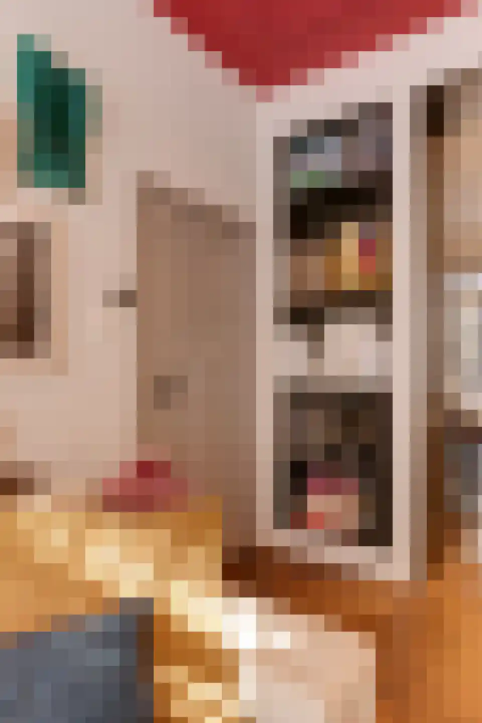 Tilanusstraat 29 1 Amsterdam thumbnail 9