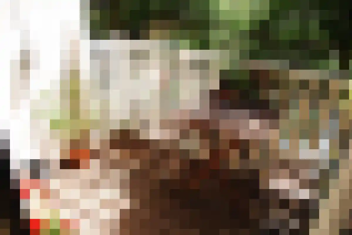 Tilanusstraat 302 Amsterdam thumbnail 4