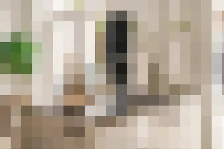 Tilanusstraat 346 Amsterdam thumbnail 10