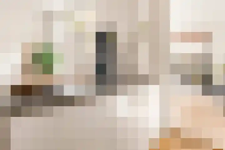 Tilanusstraat 346 Amsterdam thumbnail 17