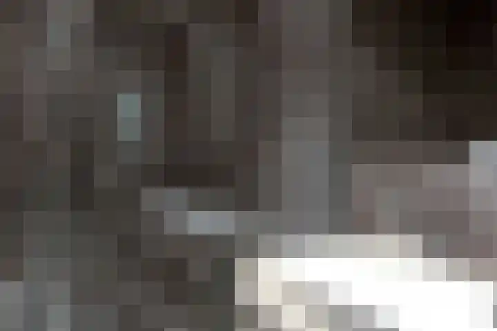 Tilanusstraat 346 Amsterdam thumbnail 22