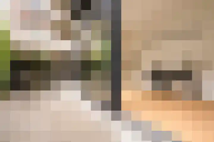 Tilanusstraat 346 Amsterdam foto 3