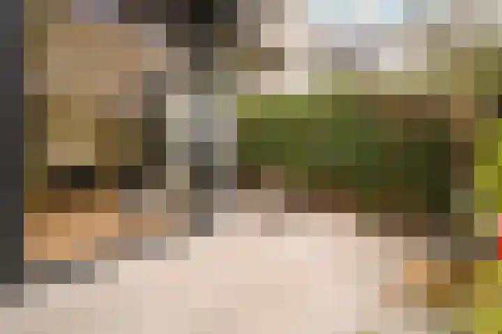 Tilanusstraat 346 Amsterdam thumbnail 31