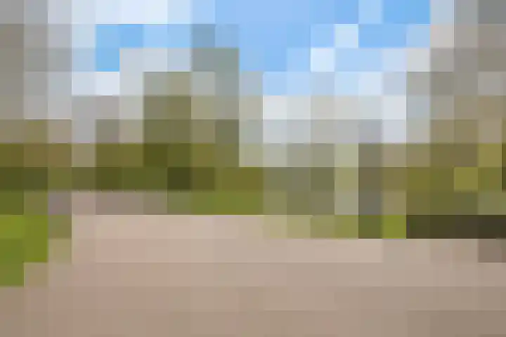 Tilanusstraat 346 Amsterdam thumbnail 33
