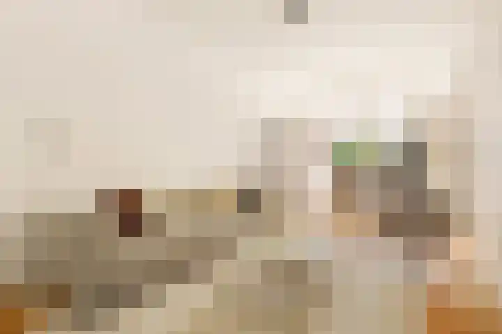 Tilanusstraat 346 Amsterdam thumbnail 4
