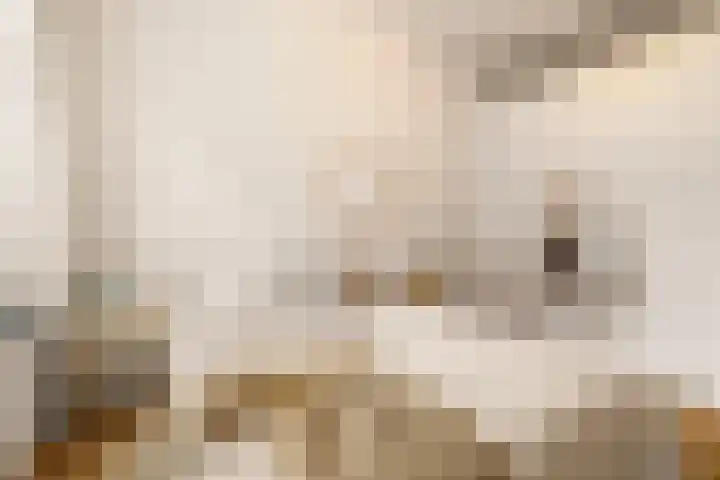 Tilanusstraat 346 Amsterdam thumbnail 5