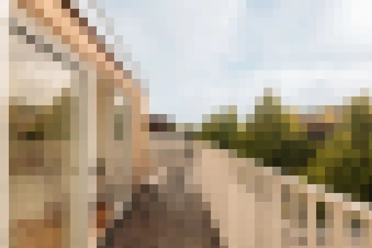Tilanusstraat 35 4 Amsterdam thumbnail 20