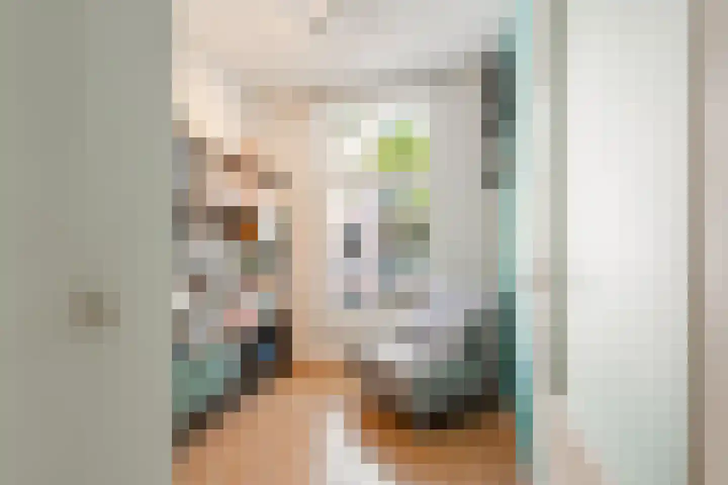 Tilanusstraat 36 1 Amsterdam thumbnail 14