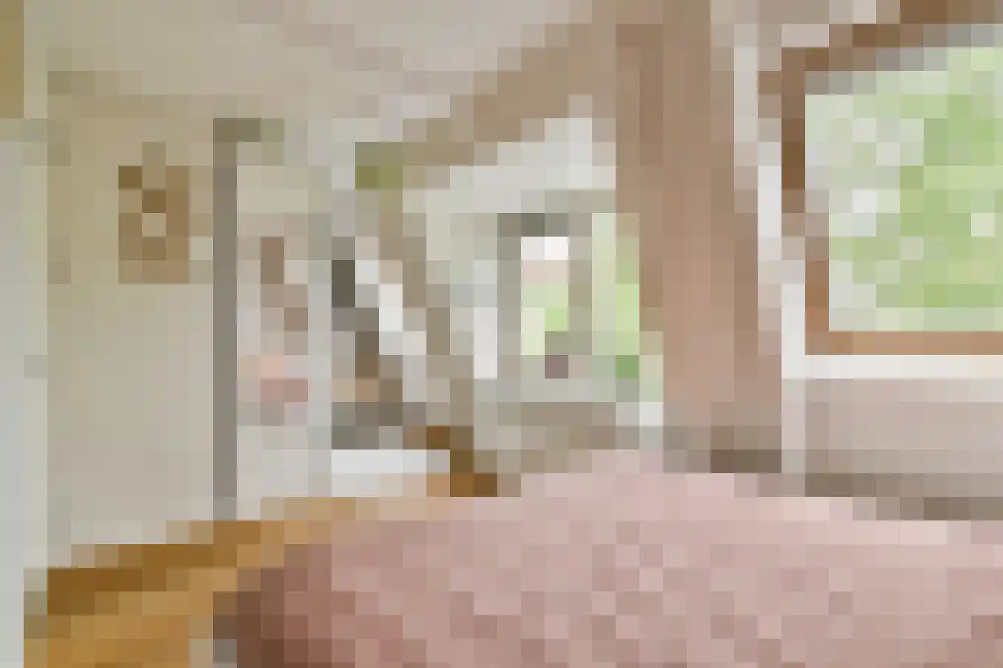 Tilanusstraat 36 2 Amsterdam thumbnail 15