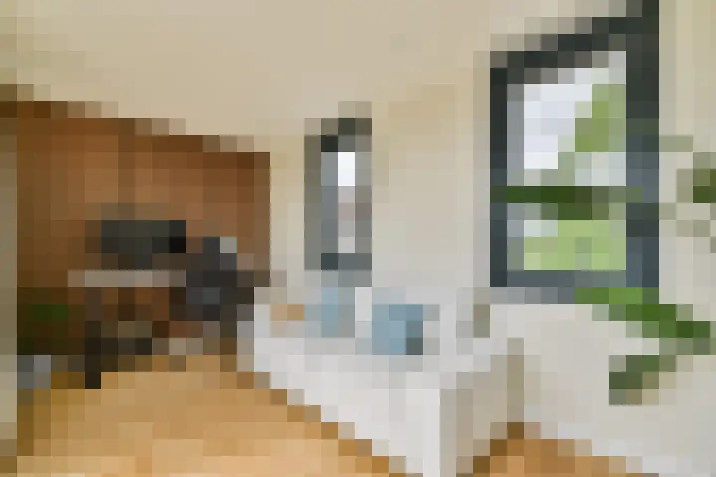 Tilanusstraat 36 2 Amsterdam thumbnail 22