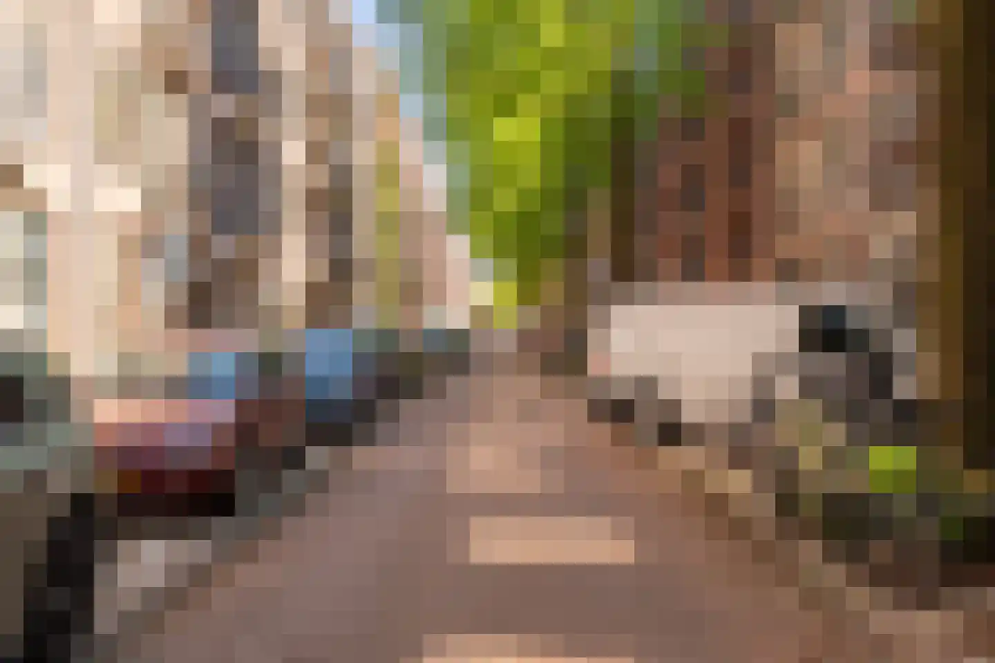 Tilanusstraat 36 3 Amsterdam thumbnail 22