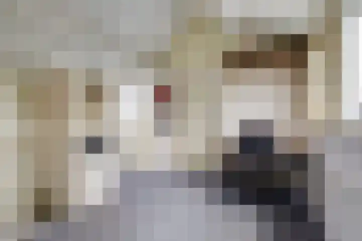 Tilanusstraat 38 Naaldwijk thumbnail 21