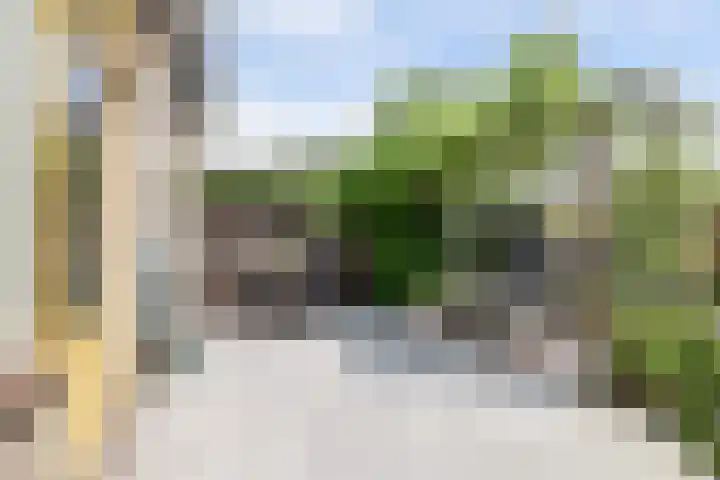 Tilanusstraat 38 Naaldwijk thumbnail 24