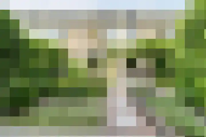 Tilanusstraat 38 Naaldwijk thumbnail 27
