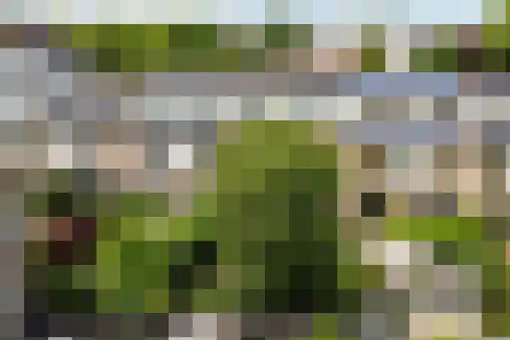 Tilanusstraat 38 Naaldwijk thumbnail 28
