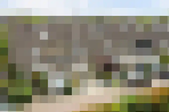 Tilanusstraat 38 Naaldwijk thumbnail 29