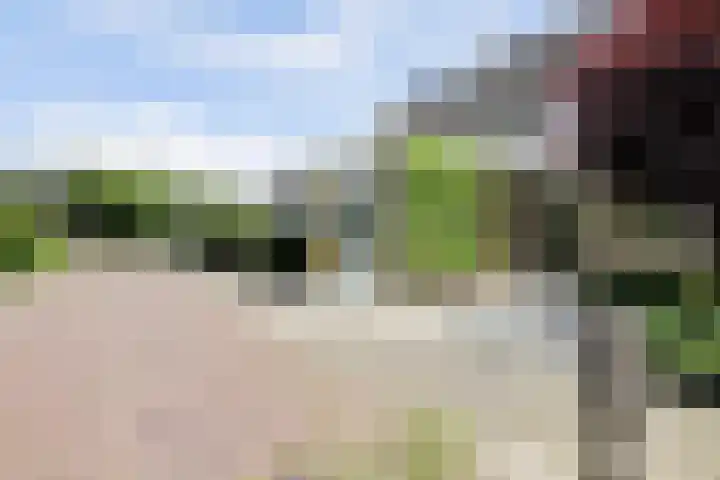 Tilanusstraat 38 Naaldwijk thumbnail 31
