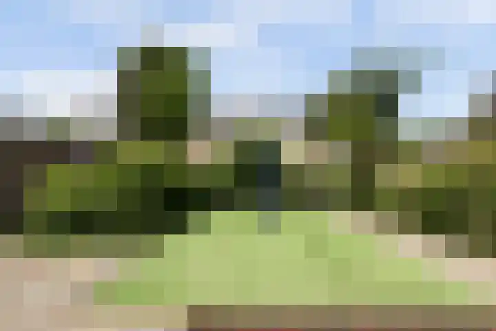 Tilanusstraat 38 Naaldwijk thumbnail 33