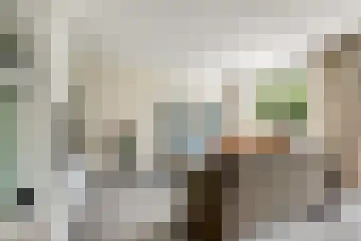 Tilanusstraat 38 Naaldwijk thumbnail 5
