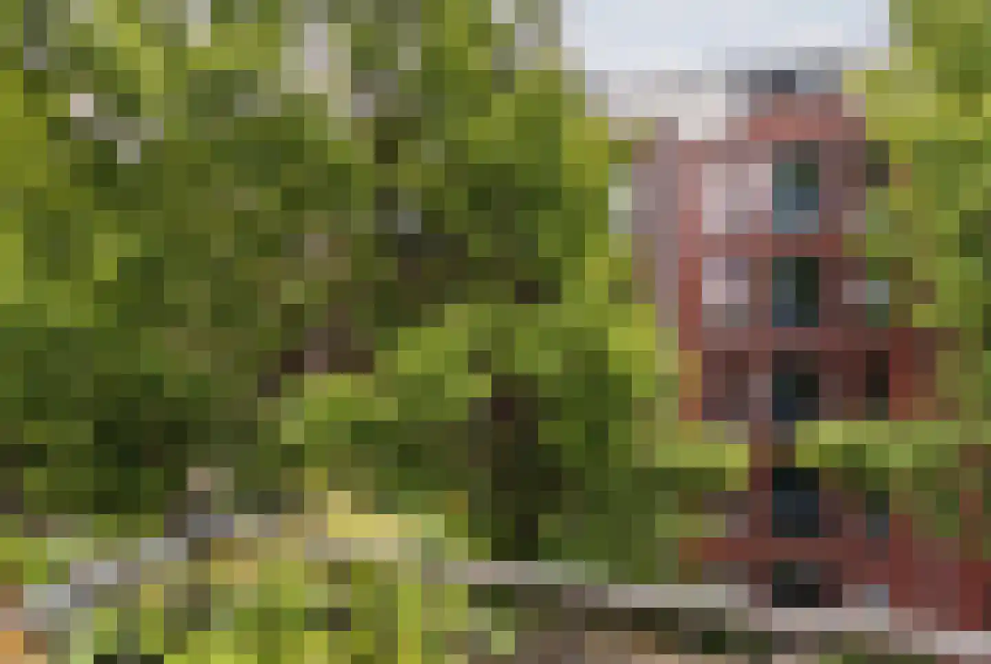 Tilanusstraat 45 2 Amsterdam thumbnail 15