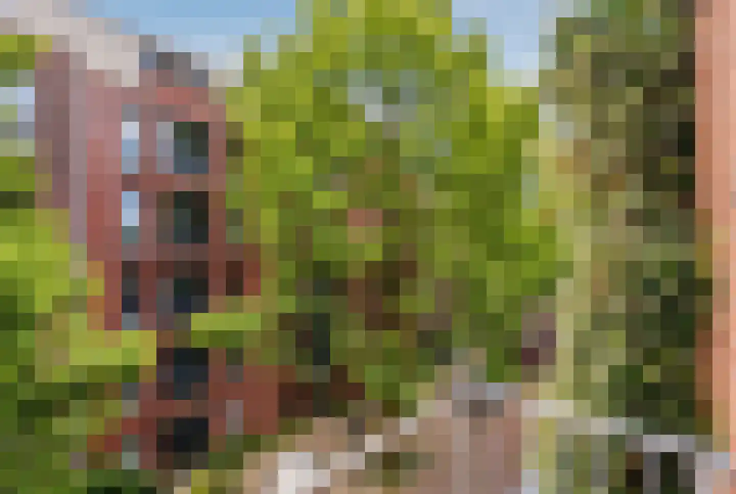 Tilanusstraat 45 2 Amsterdam thumbnail 16