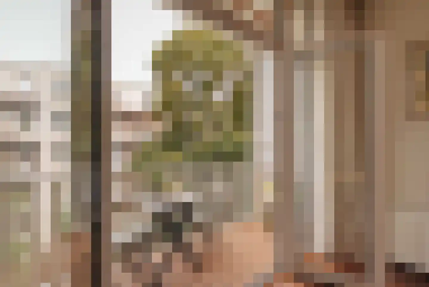 Tilanusstraat 45 2 Amsterdam thumbnail 19
