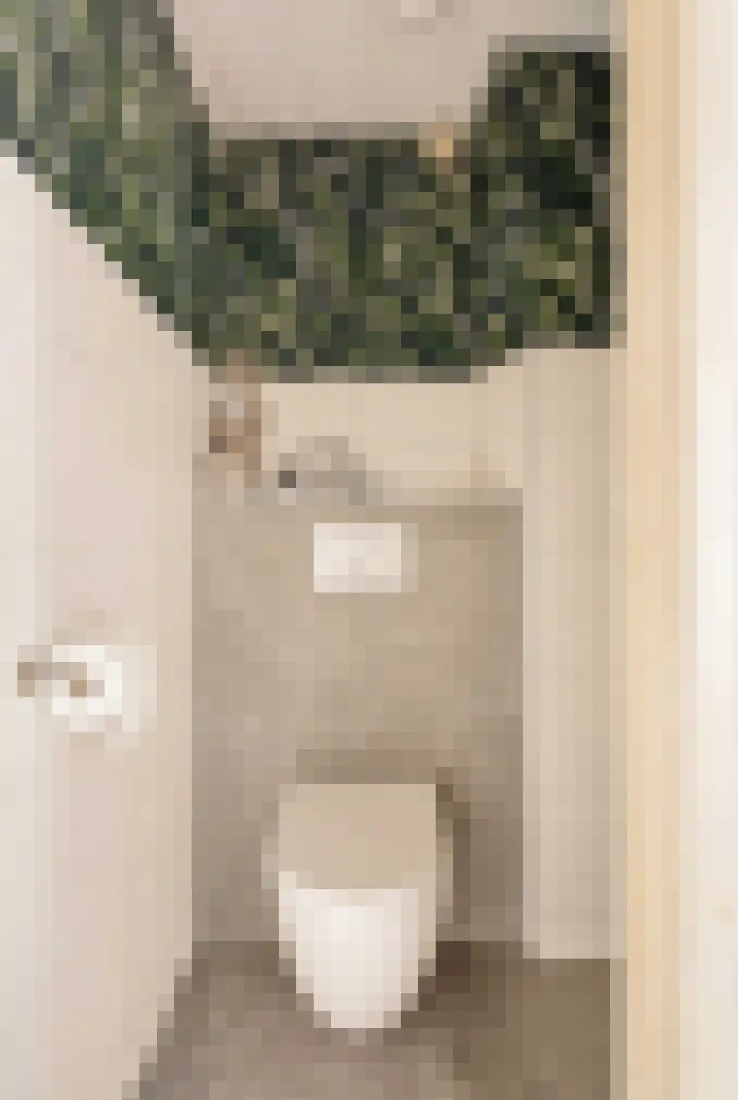 Tilanusstraat 45 2 Amsterdam thumbnail 30