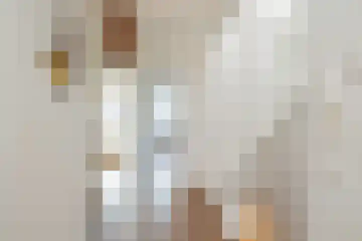 Tilanusstraat 55 5 Amsterdam thumbnail 15