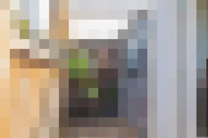 Tilanusstraat 55 5 Amsterdam thumbnail 28