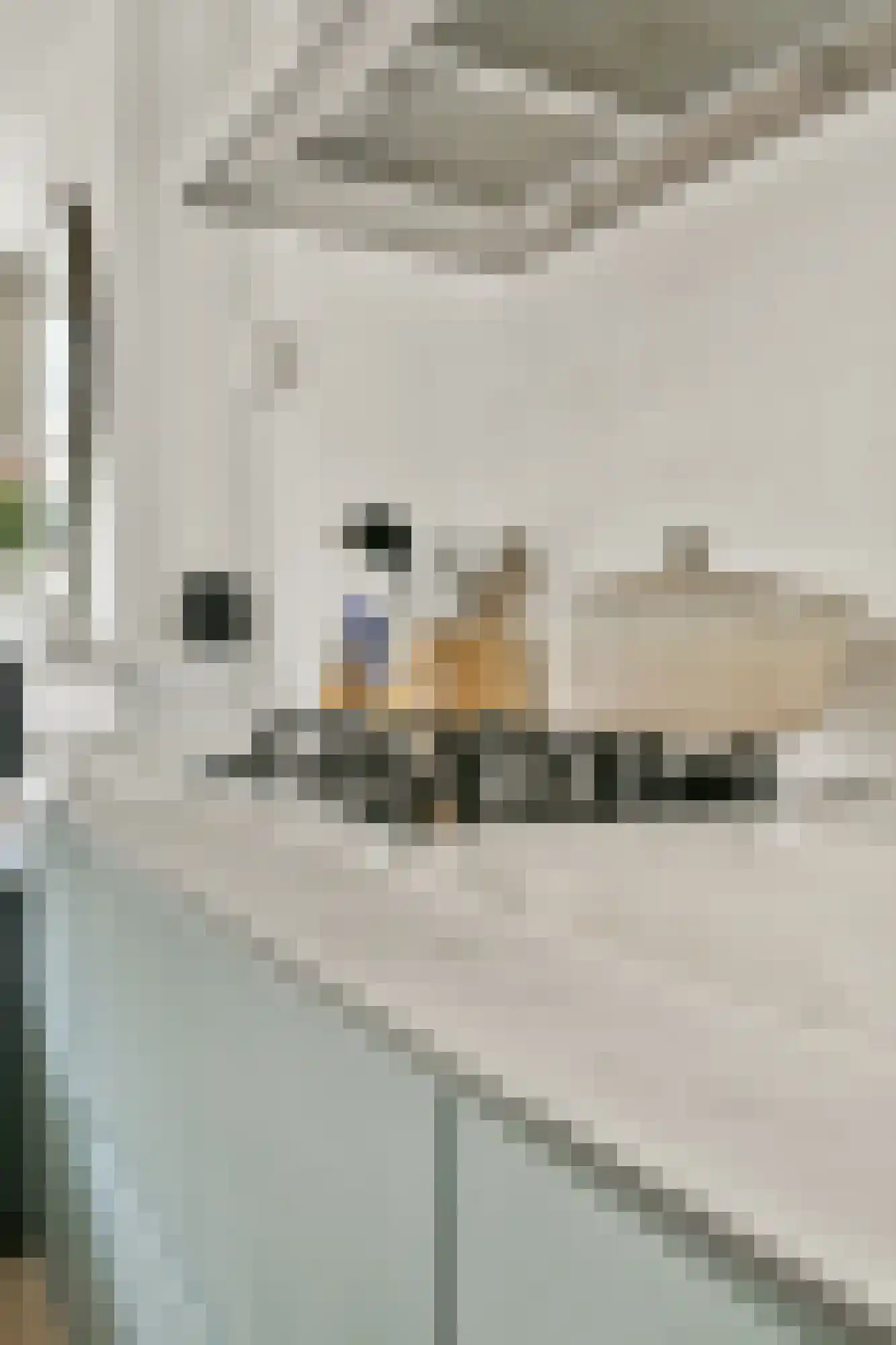 Tilanusstraat 79 2 Amsterdam thumbnail 10