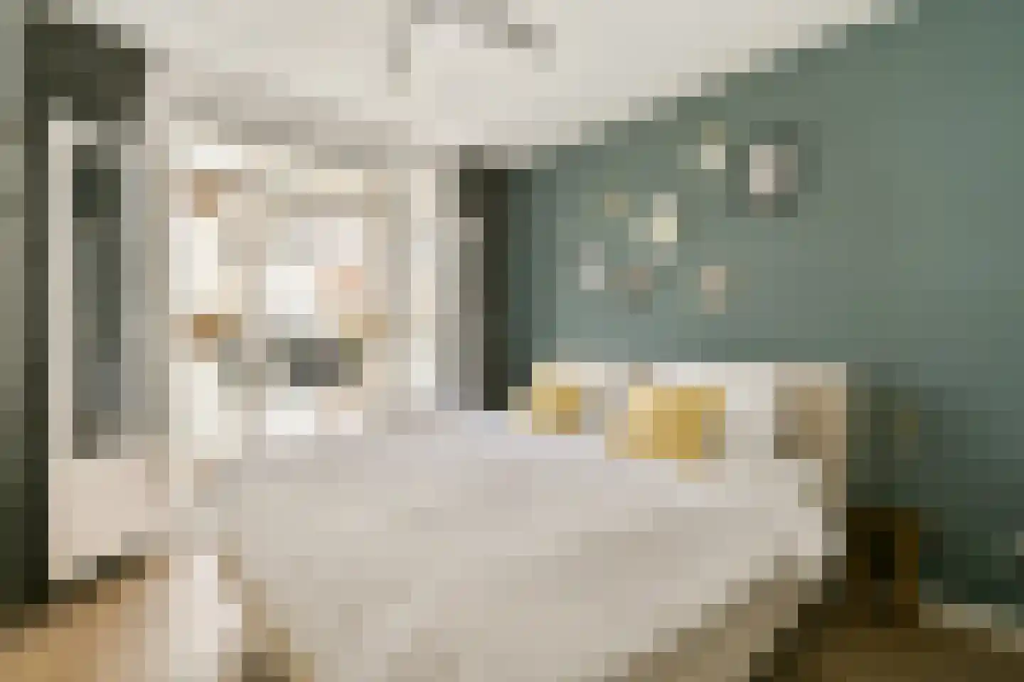 Tilanusstraat 79 2 Amsterdam thumbnail 16