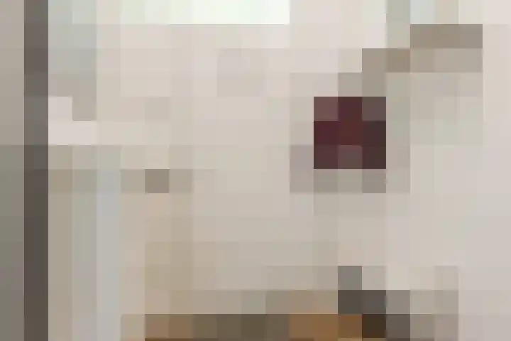 Tilanusstraat 83 3 Amsterdam thumbnail 6