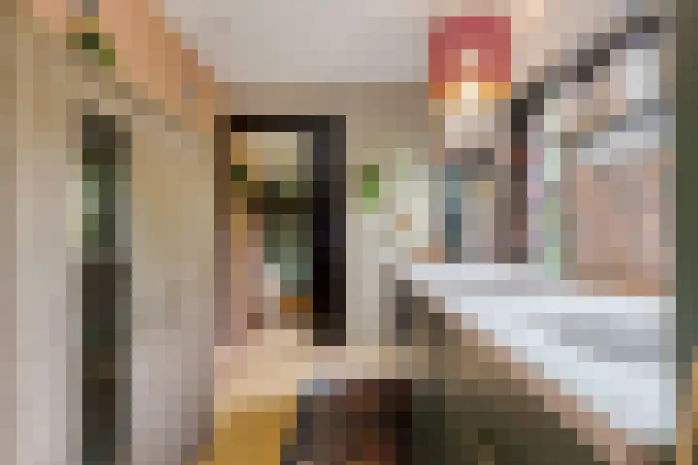 Tilbrugstraat 5 Zuidveld thumbnail 100