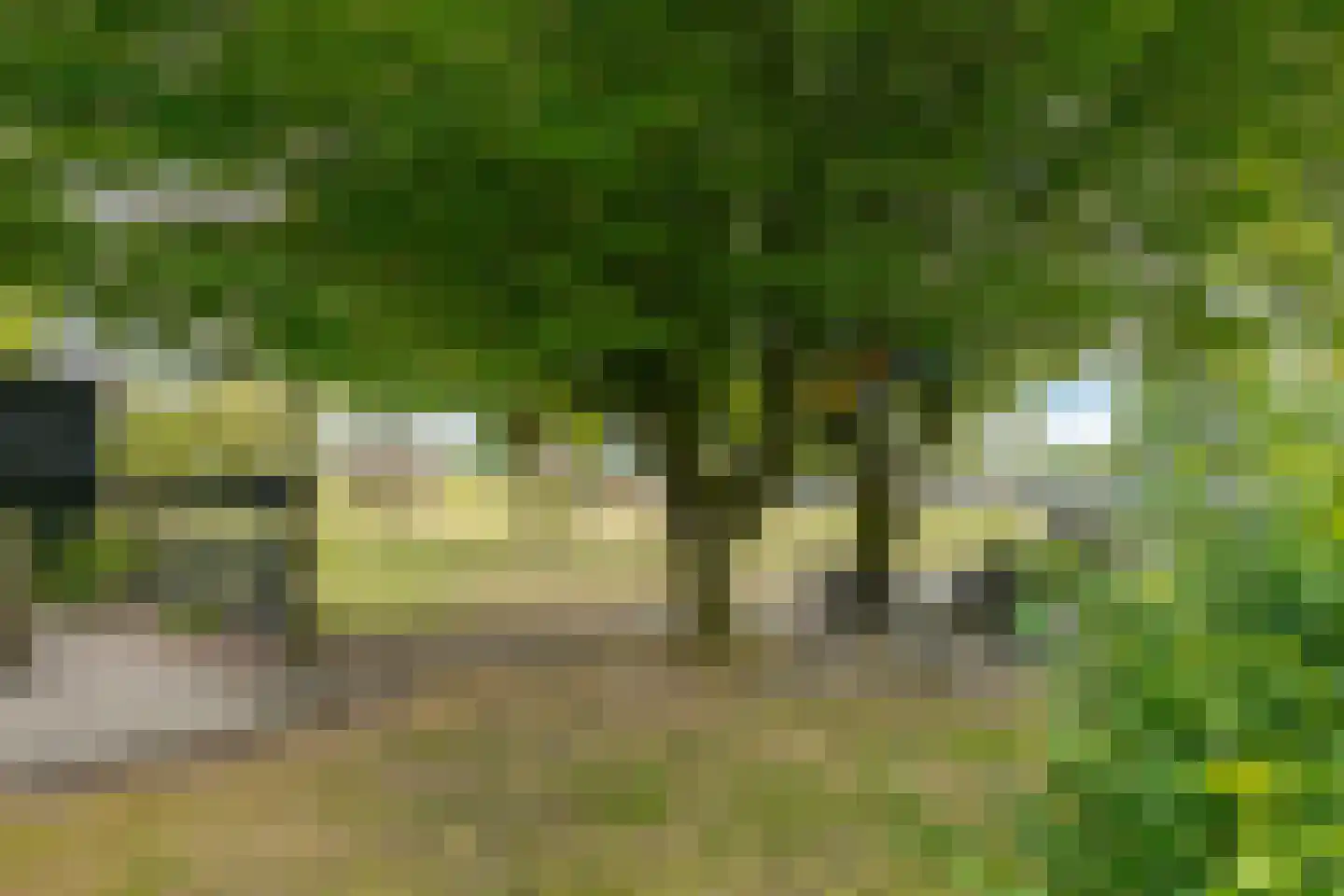 Tilbrugstraat 5 Zuidveld thumbnail 108
