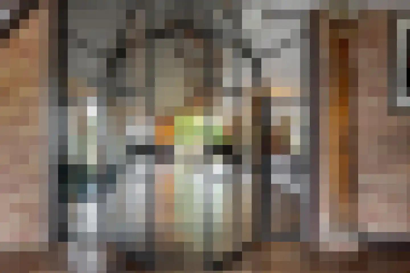 Tilbrugstraat 5 Zuidveld thumbnail 14
